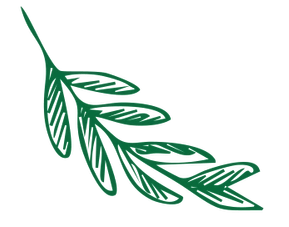 Illustratie van een kruidentakje